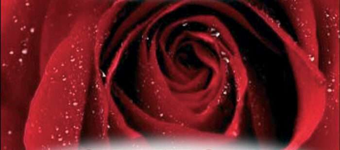 Copertina CD Canzoni d'Amore volume 1 di Radio Birikina