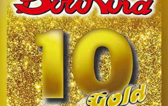 CD - Gold Collection – Vol. 10