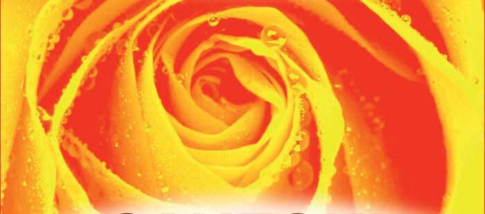 Copertina CD Canzoni d'Amore volume 3 di Radio Birikina