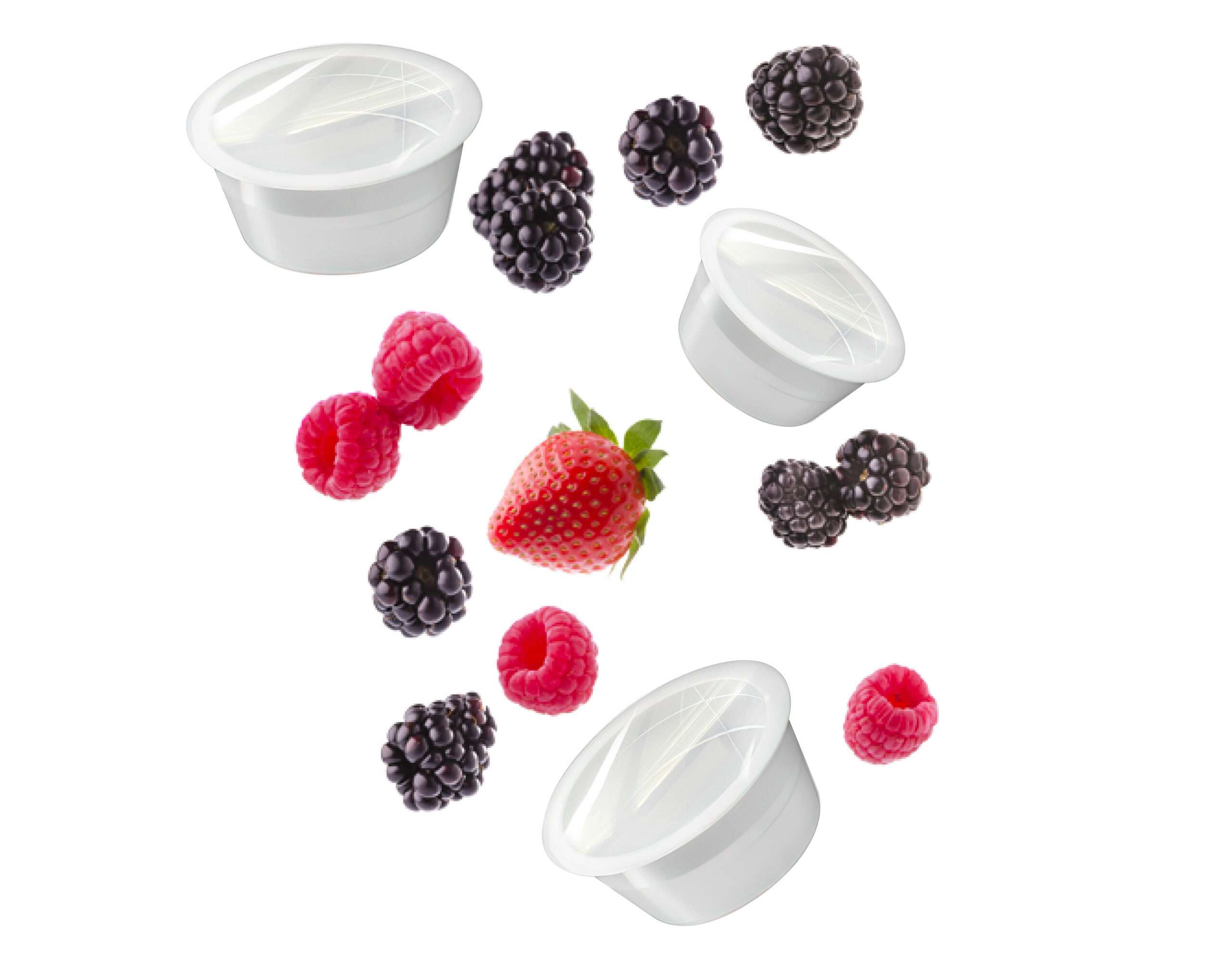 Capsule Tisana ai Frutti di Bosco
